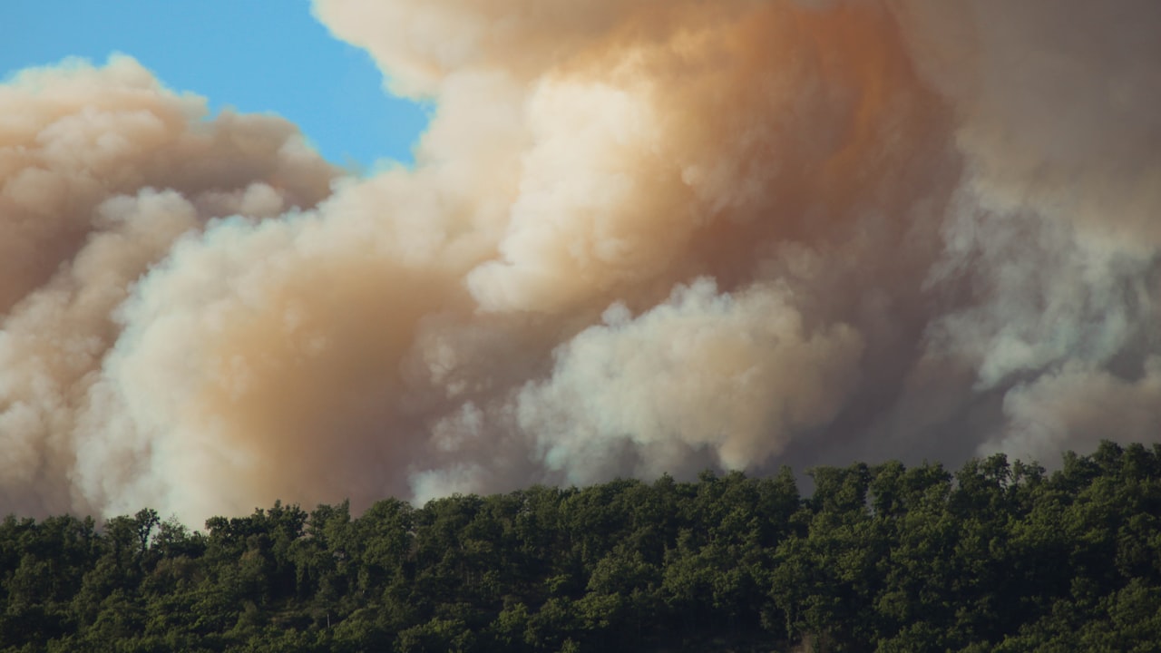 Wildfire Risk and Home Insurance in Kelowna: What Every Buyer Should Check Before Making an Offer